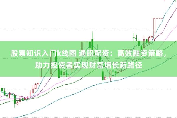 股票知识入门k线图 通昭配资：高效融资策略，助力投资者实现财富增长新路径