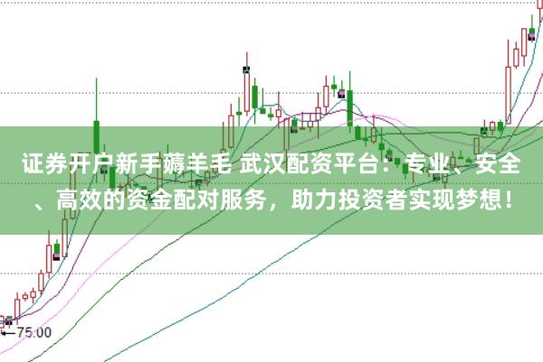 证券开户新手薅羊毛 武汉配资平台：专业、安全、高效的资金配对服务，助力投资者实现梦想！
