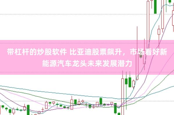 带杠杆的炒股软件 比亚迪股票飙升，市场看好新能源汽车龙头未来发展潜力