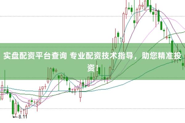 实盘配资平台查询 专业配资技术指导，助您精准投资！