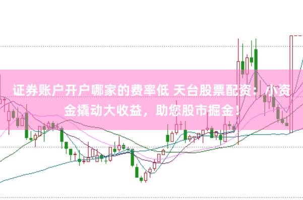 证券账户开户哪家的费率低 天台股票配资：小资金撬动大收益，助您股市掘金！