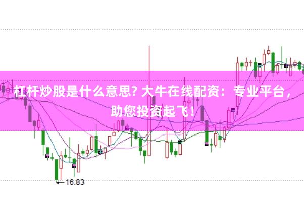 杠杆炒股是什么意思? 大牛在线配资：专业平台，助您投资起飞！