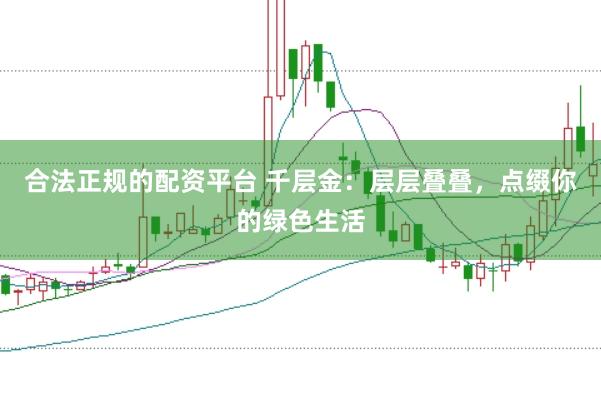 合法正规的配资平台 千层金：层层叠叠，点缀你的绿色生活
