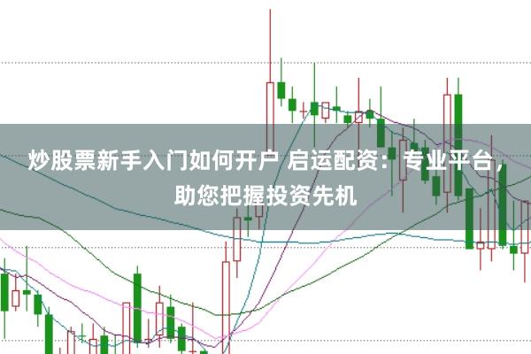 炒股票新手入门如何开户 启运配资：专业平台，助您把握投资先机