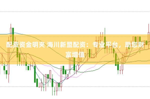 配资资金明夹 海川新盟配资：专业平台，助您财富增值