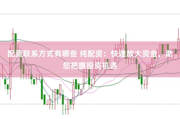 配资联系方式有哪些 纯配资：快速放大资金，助您把握投资机遇