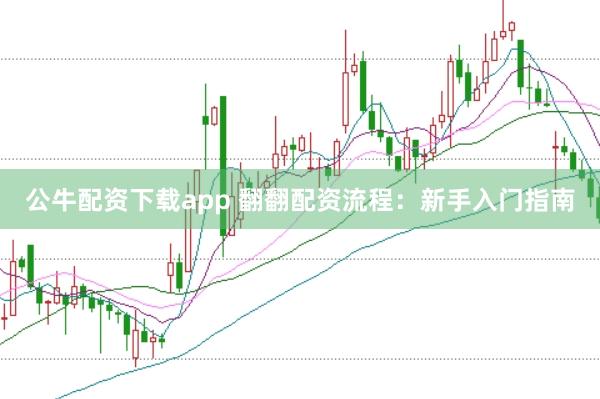 公牛配资下载app 翻翻配资流程：新手入门指南