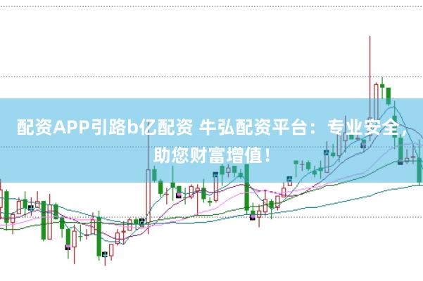 配资APP引路b亿配资 牛弘配资平台：专业安全，助您财富增值！