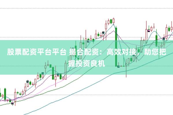 股票配资平台平台 撮合配资：高效对接，助您把握投资良机