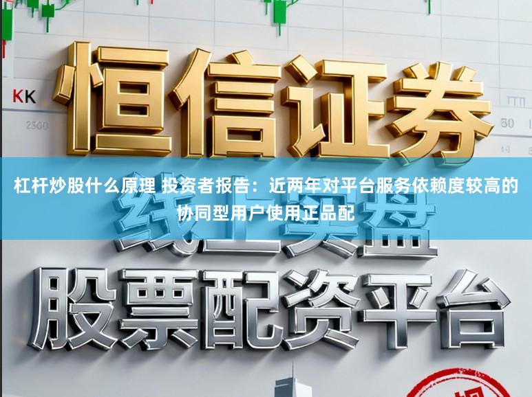 杠杆炒股什么原理 投资者报告:近两年对平台服务依赖度较高的协同型用户使用正品配