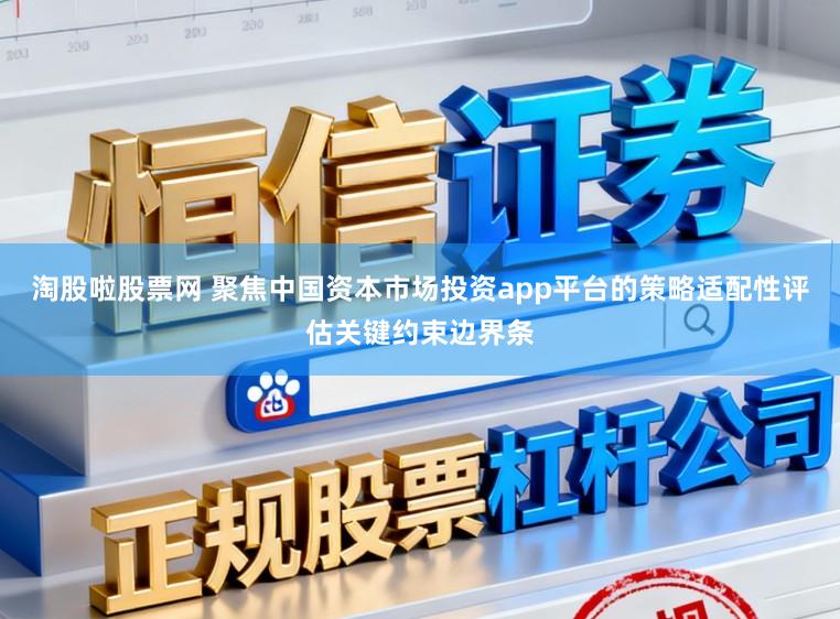 淘股啦股票网 聚焦中国资本市场投资app平台的策略适配性评估关键约束边界条